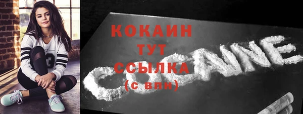 прущие крисы Гусев