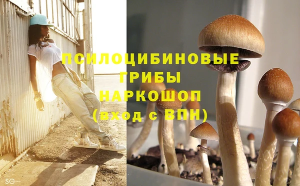 метадон Гусь-Хрустальный