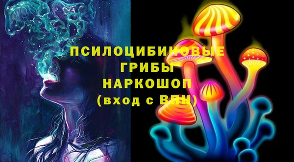 Альфа ПВП Гусиноозёрск