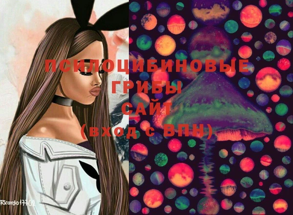 прущие крисы Гусев