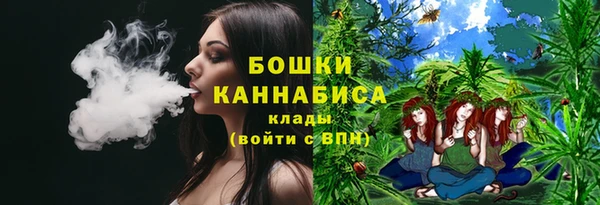 прущие крисы Гусев